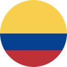 icono bandera 